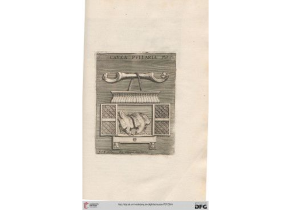 openseadragon-render