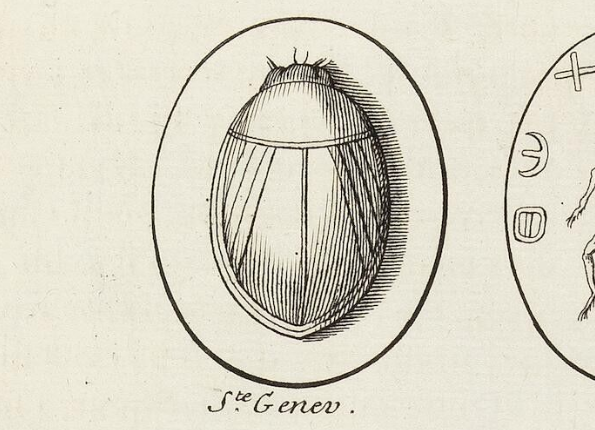 openseadragon-render