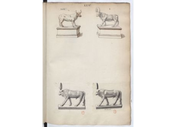 openseadragon-render