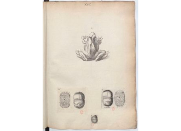 openseadragon-render