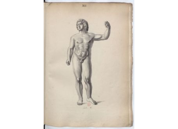 openseadragon-render