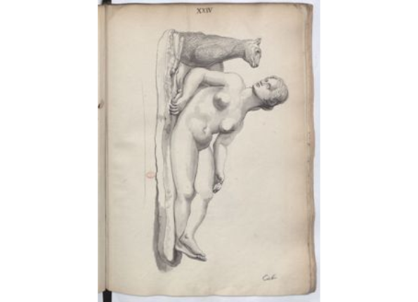 openseadragon-render