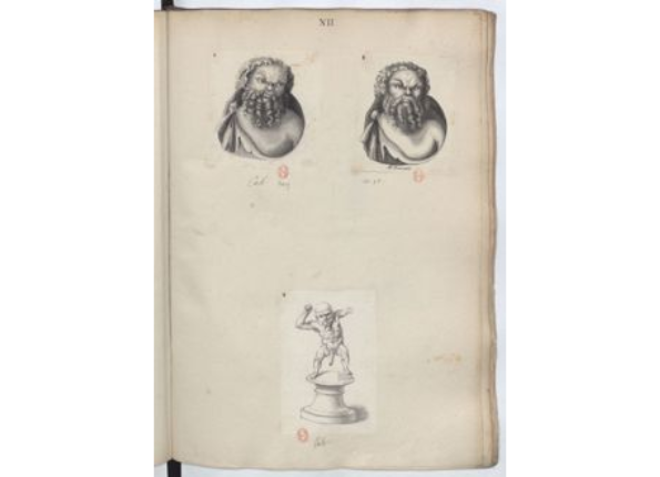 openseadragon-render