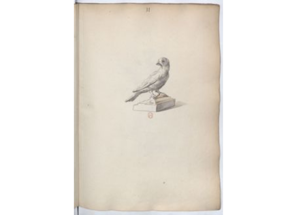 openseadragon-render