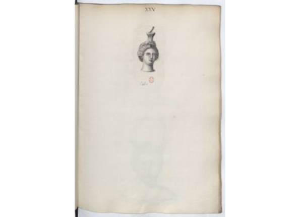 openseadragon-render