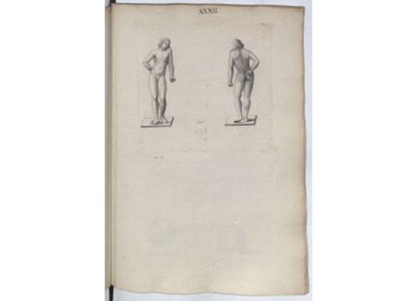 openseadragon-render