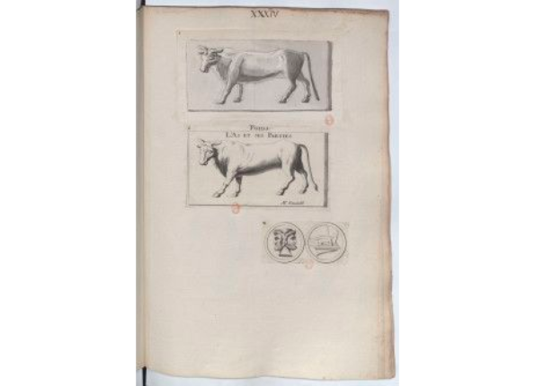 openseadragon-render