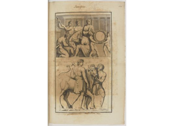 openseadragon-render