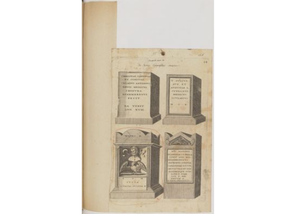 openseadragon-render