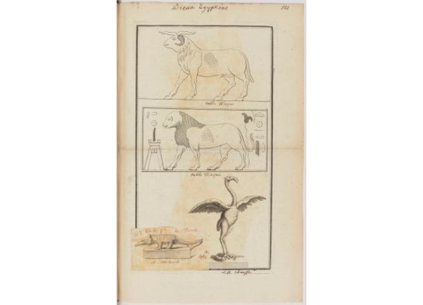 openseadragon-render