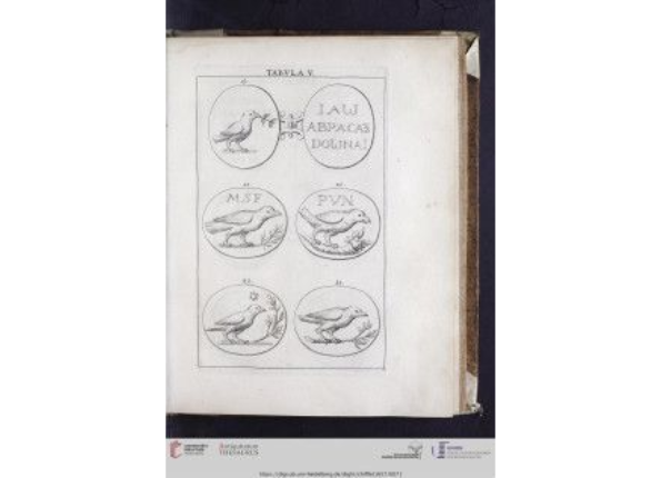 openseadragon-render