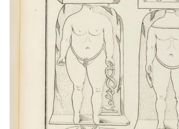 openseadragon-render