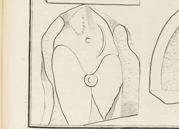 openseadragon-render