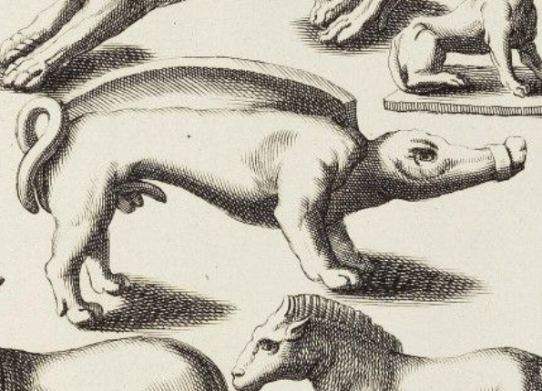 openseadragon-render