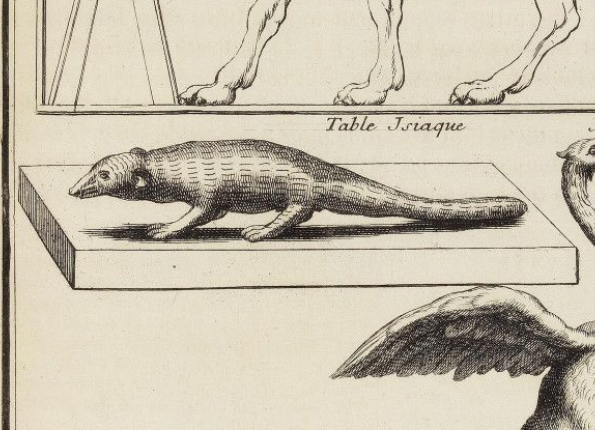 openseadragon-render