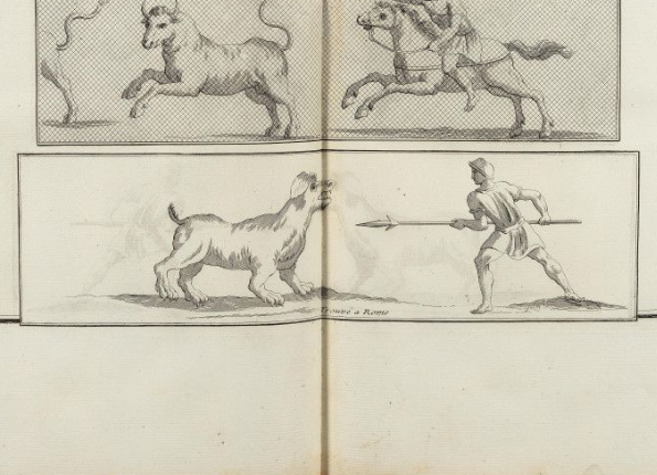 openseadragon-render