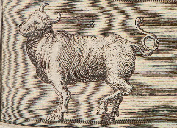 openseadragon-render