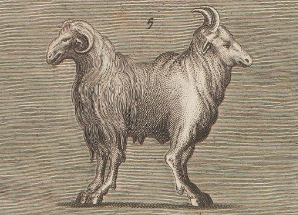 openseadragon-render