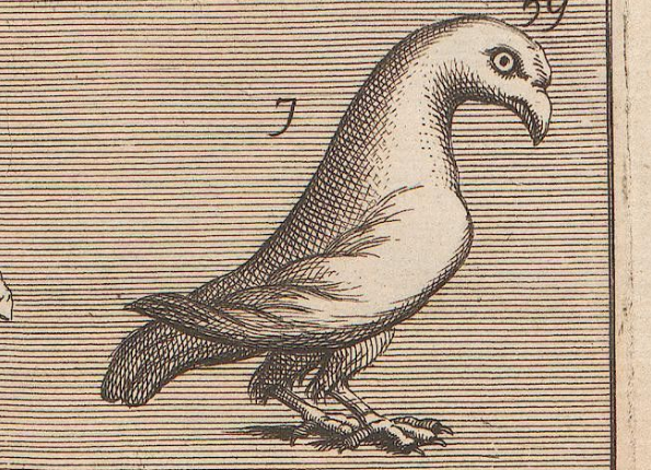 openseadragon-render