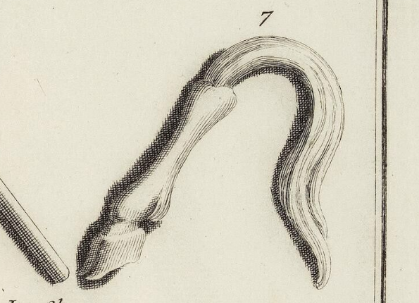 openseadragon-render