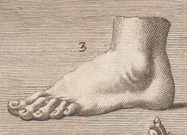 openseadragon-render