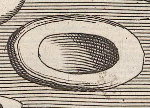 openseadragon-render