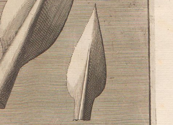 openseadragon-render