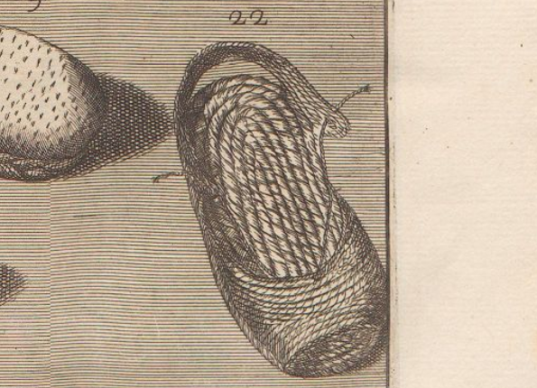 openseadragon-render