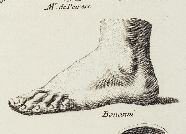 openseadragon-render