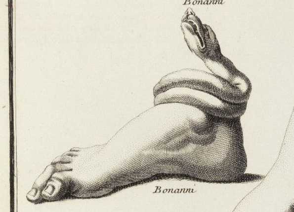 openseadragon-render