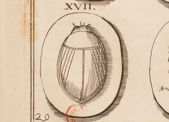 openseadragon-render