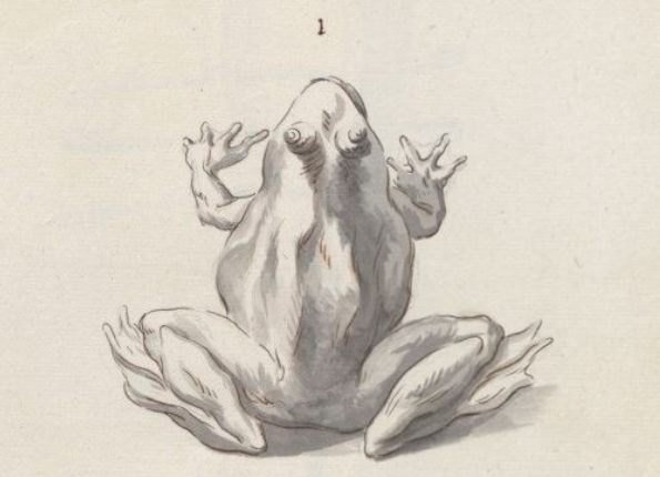 openseadragon-render