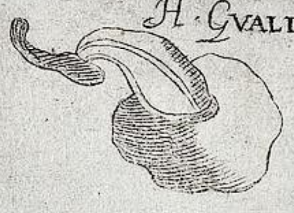 openseadragon-render