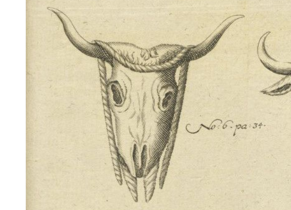 openseadragon-render