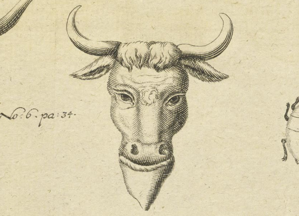 openseadragon-render