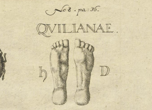 openseadragon-render