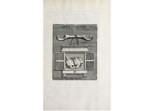 openseadragon-render