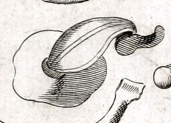 openseadragon-render