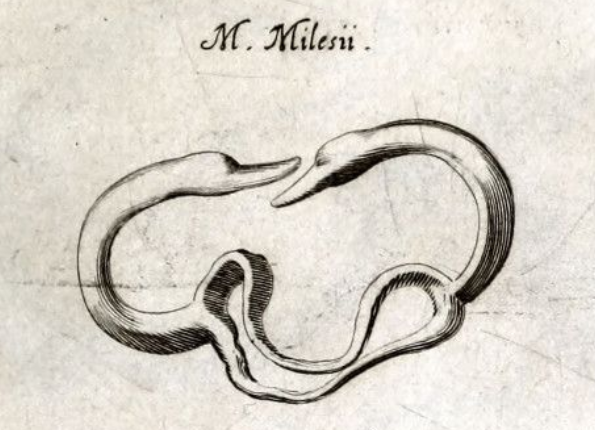 openseadragon-render