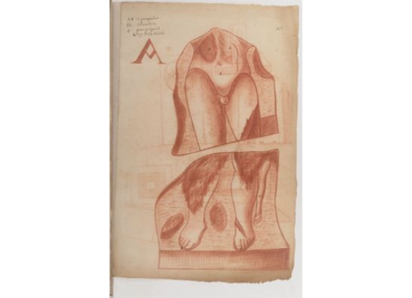 openseadragon-render