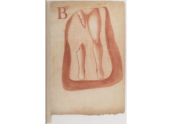 openseadragon-render