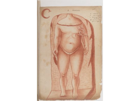 openseadragon-render