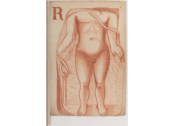 openseadragon-render