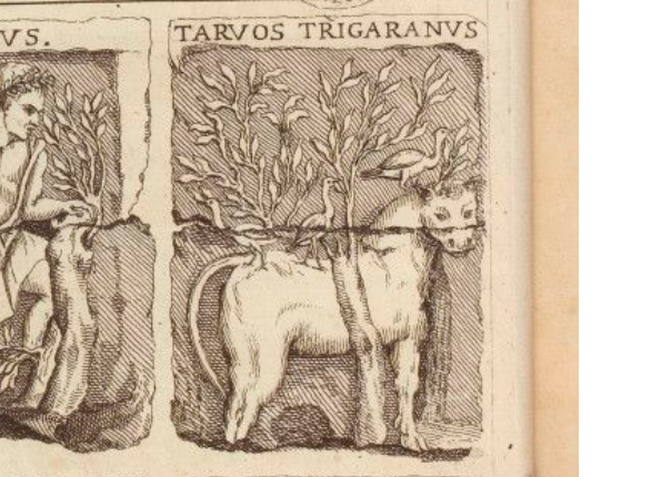 openseadragon-render