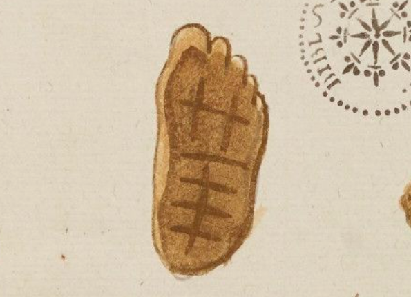 openseadragon-render