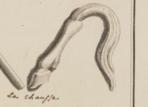 openseadragon-render