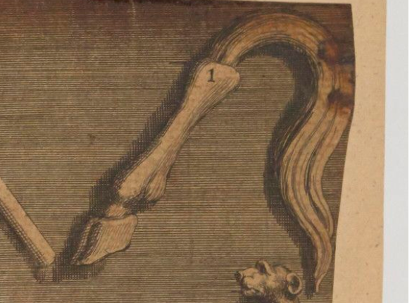 openseadragon-render