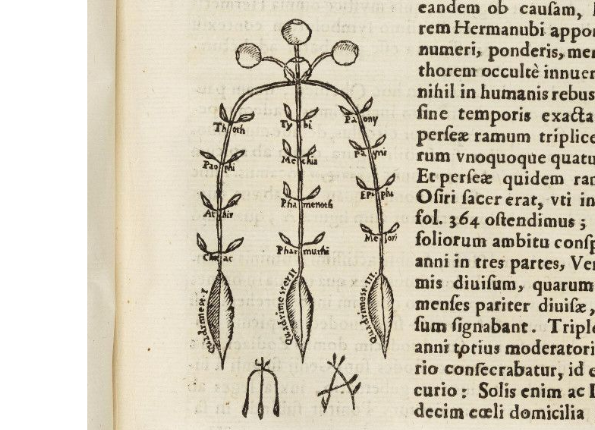 openseadragon-render