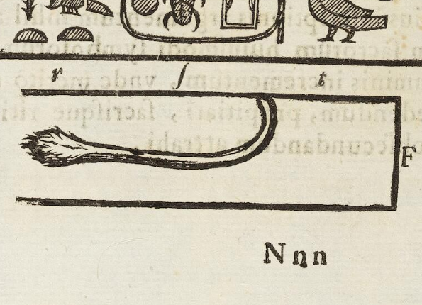 openseadragon-render