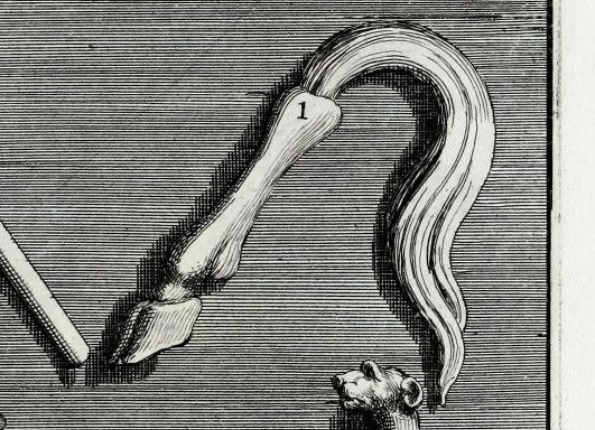 openseadragon-render